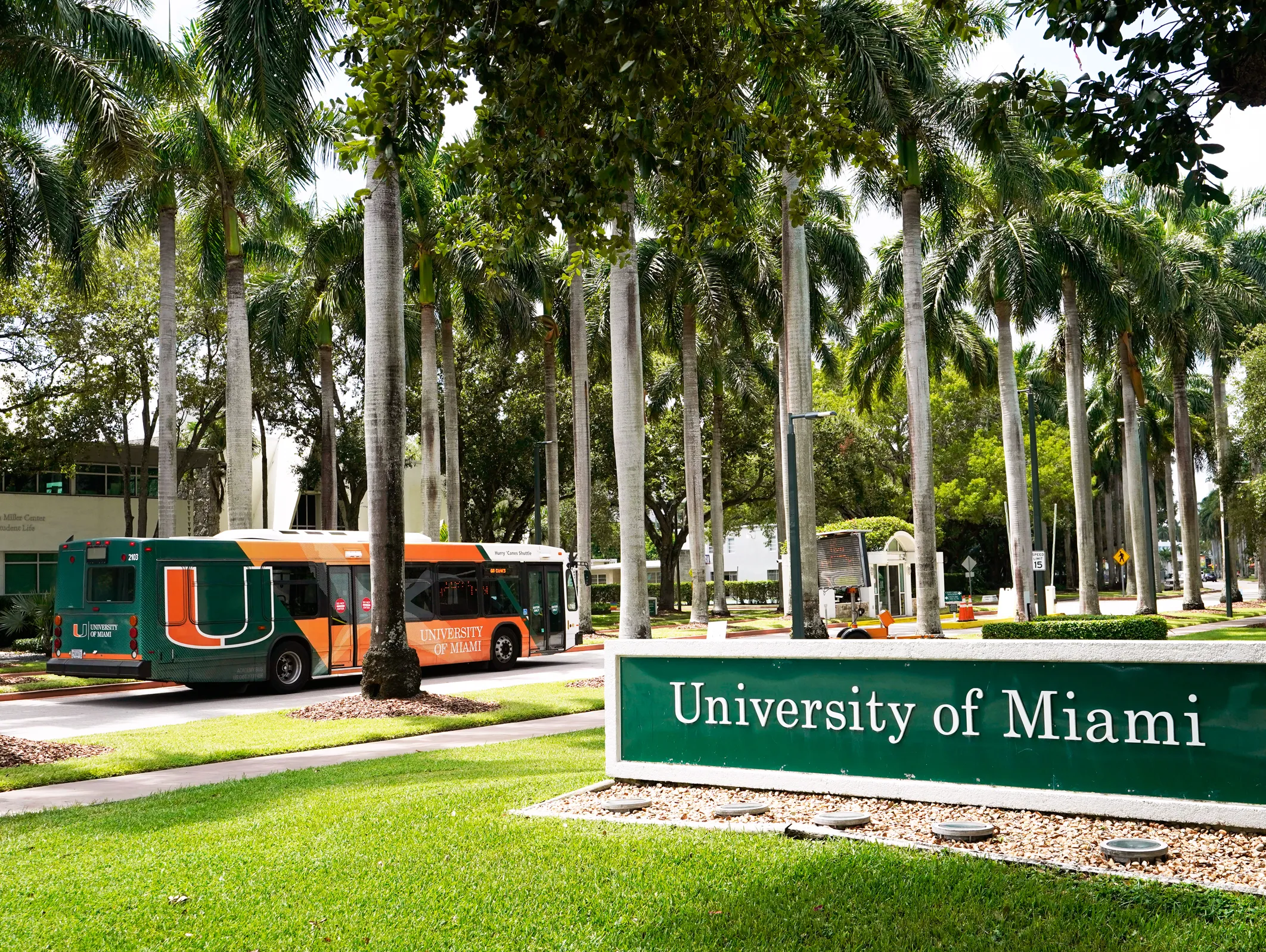 University of Miami Stamps Scholarship 2023 | Fully Funded