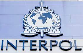 Interpol Internships 2023 in France (Paid Internship)