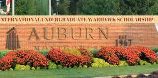 Auburn University Scholarships For International Students 2023