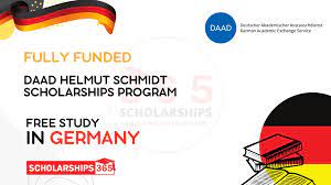 DAAD Helmut Schmidt Scholarship 2024 Germany (Fully Funded)